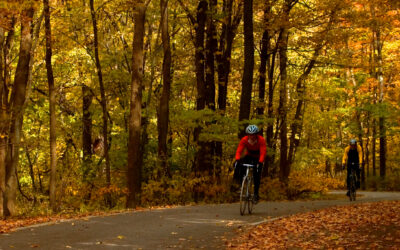 Bikes