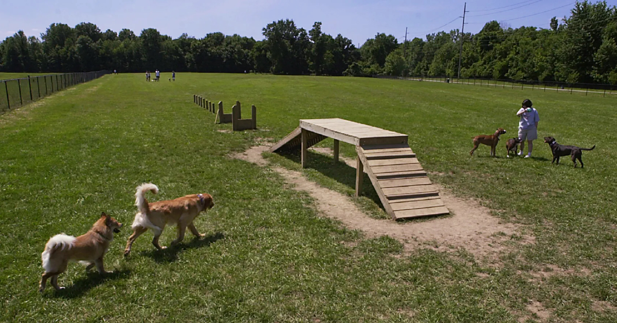 Bring your furry friend to the Dog Park.