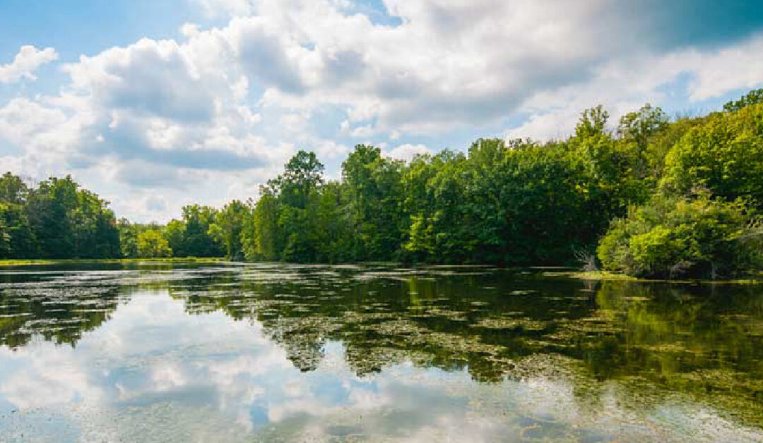 Lilly Lake