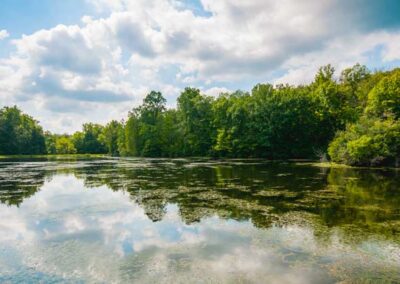 Lilly Lake