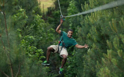 Zip Line