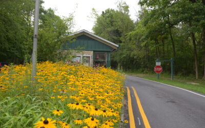 Gatehouse – 71st Street