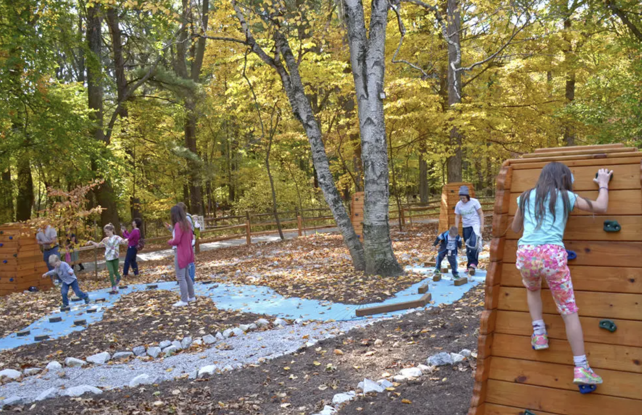 Outdoor Bird Migration Game at the Ornithology Center