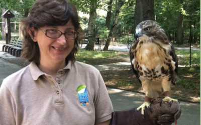 Raptor Training