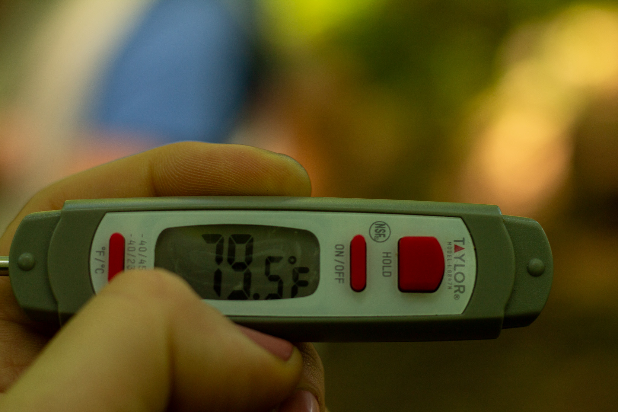 Thermometer Shade