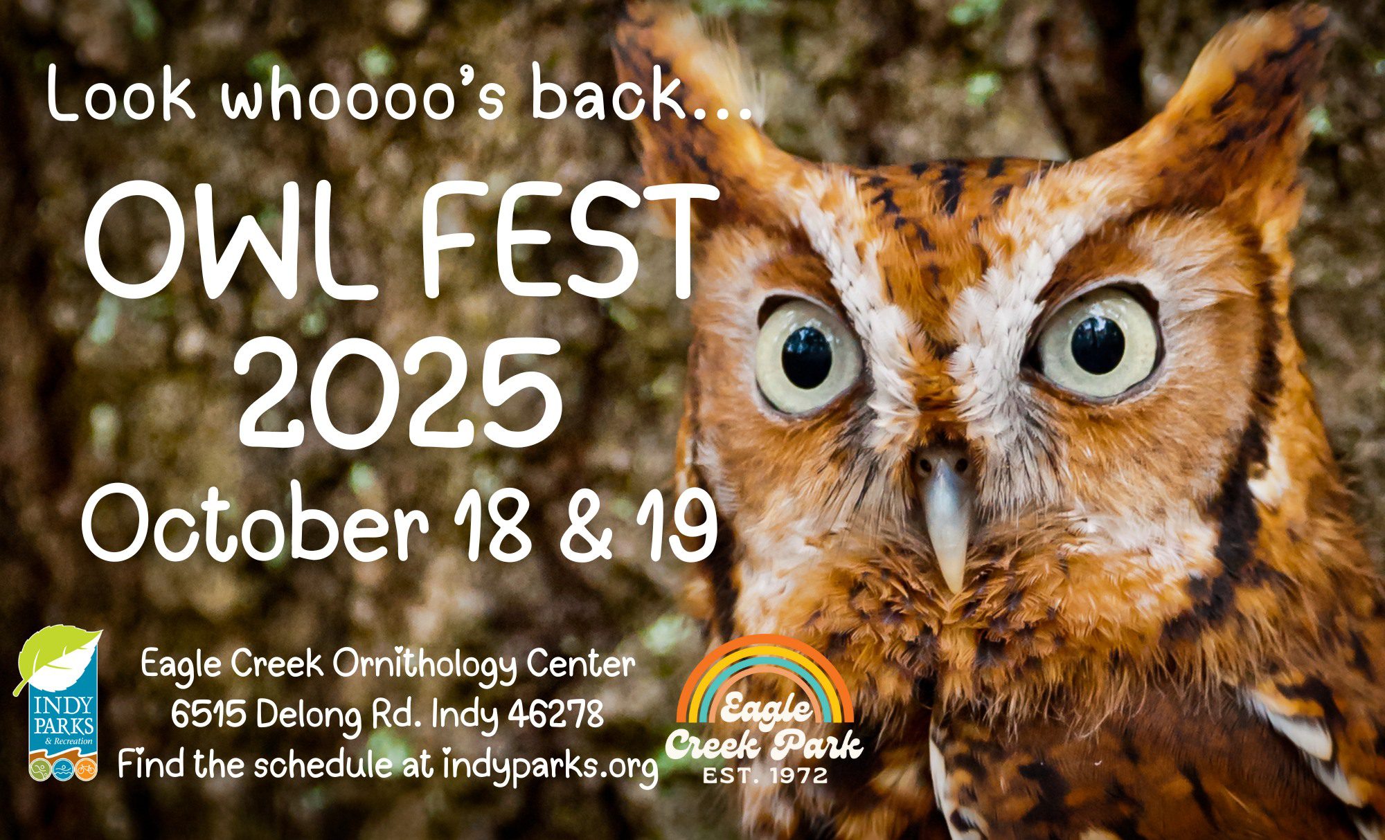 Promotional graphic for Owl Fest 2025 featuring an owl and event details.