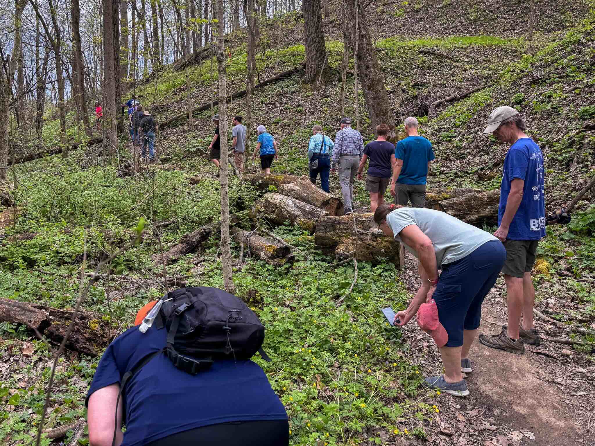A group of people hiking through a forested area with green foliage and fallen logs.