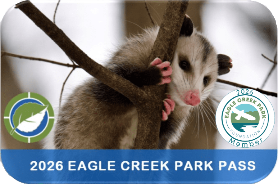 Membership pass for Eagle Creek Park Foundation featuring an opossum climbing a branch.